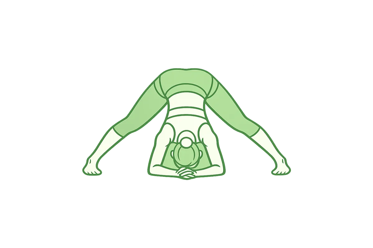 Geniş Bacak İleriye Eğilme