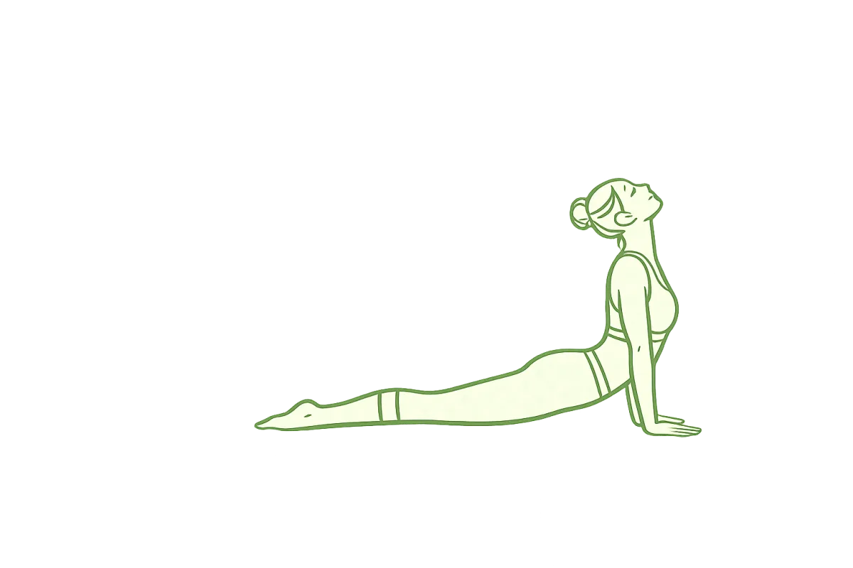 Yukarı Bakan Köpek