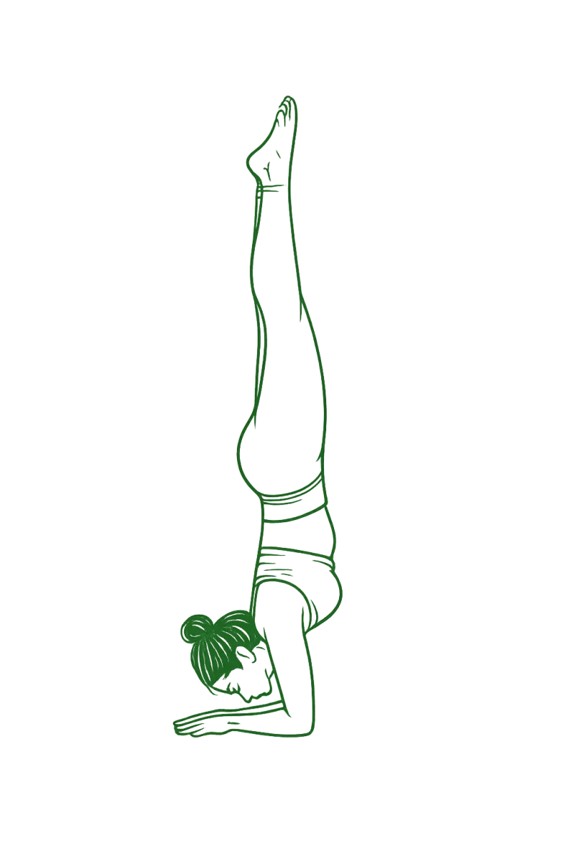 Tüylü Tavus Kuşu Duruşu (Önkol Duruşu)