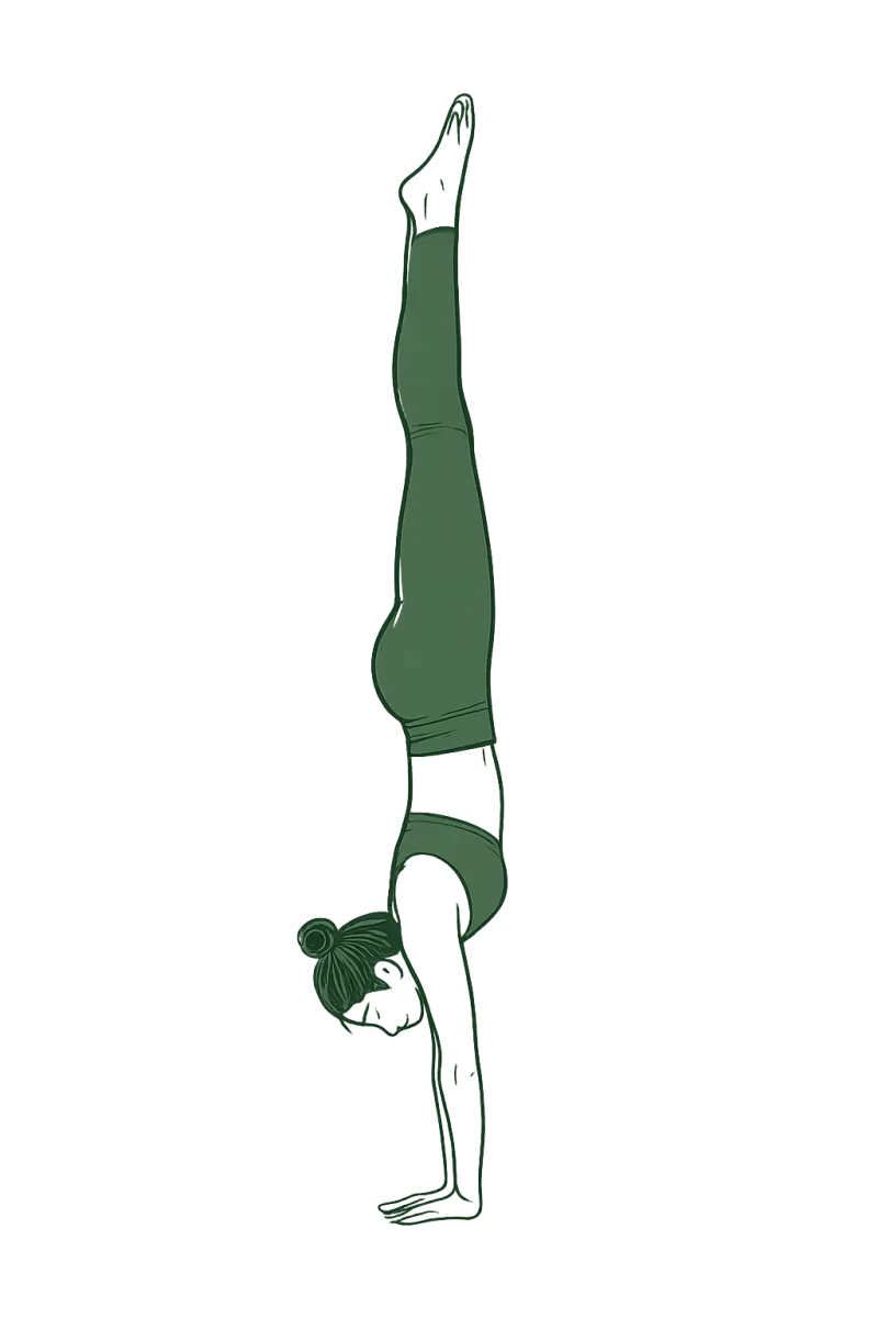 Handstand (Amuda Kalkma Duruşu)