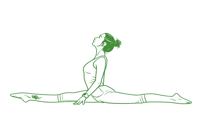 Maymun Pozu (Spagat)