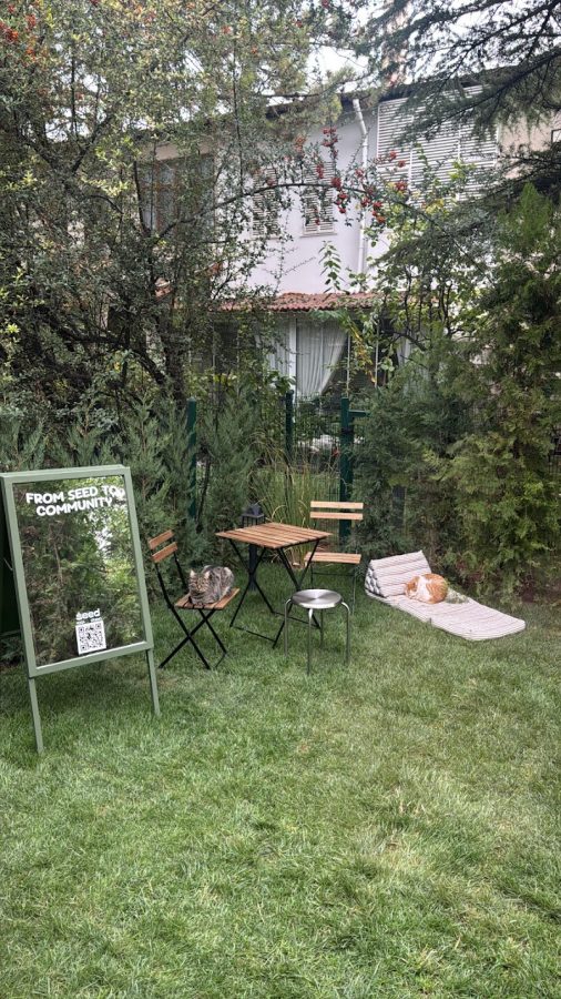 Seed Yoga Studio Ankara