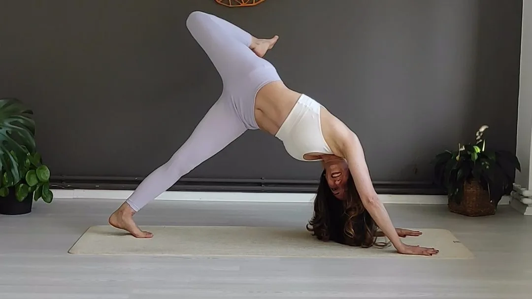 Ananas Pilates - Gebze Pilates Stüdyosu