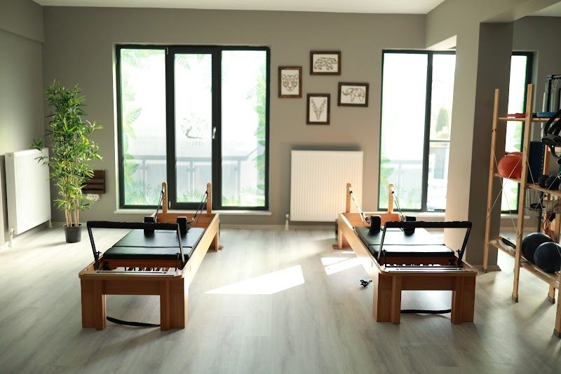 Jungle Pilates & Training Studio