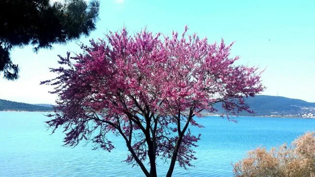 Hayyal Kundalini Yoga İstanbul - Kundalini Yoga