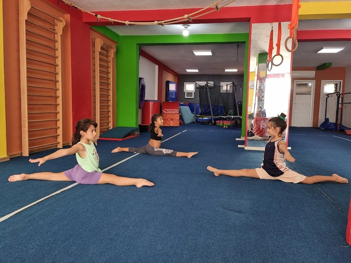 Silifke Cimnastik Spor Kulübü