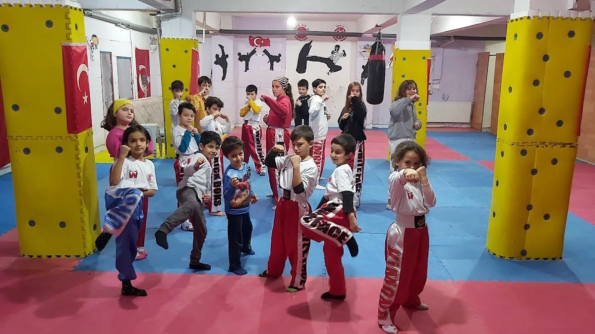 Sevinç Kardeşler Kick Boks&Taekwondo Salonu