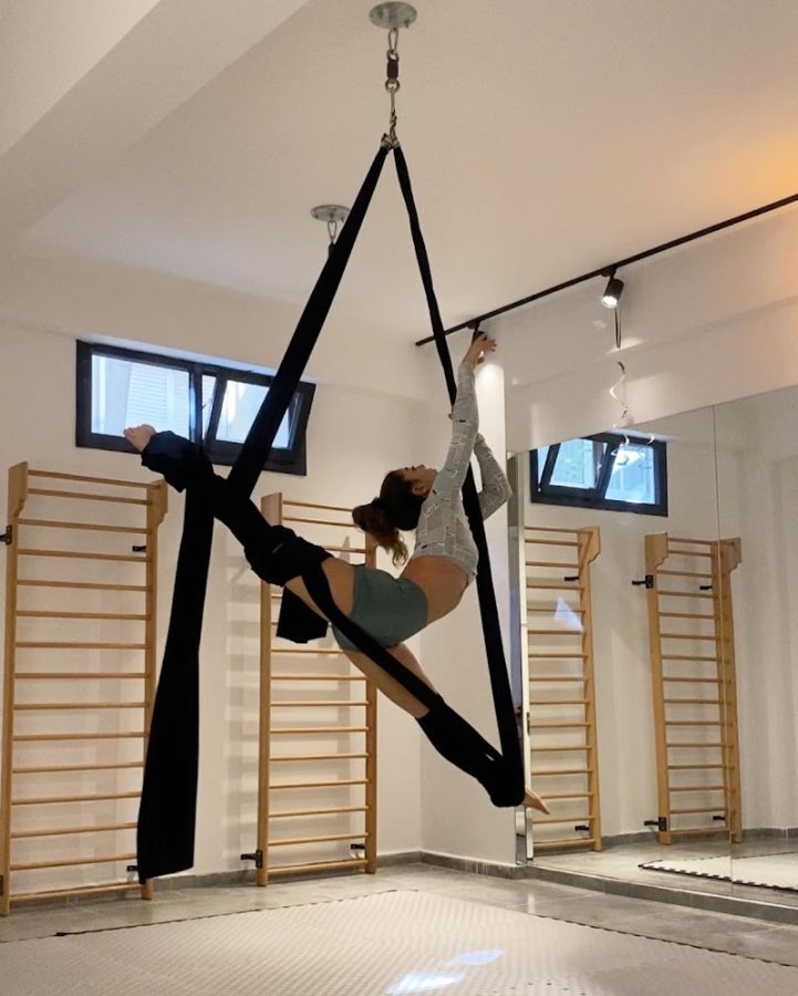 Studio Wild Pole Akademi