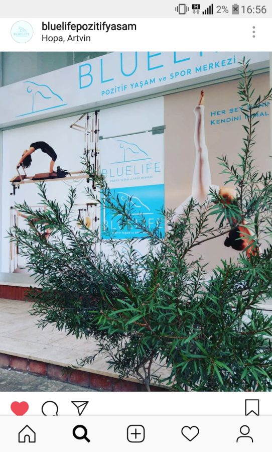 Bluelife Pozitif Yaşam ve Spor Merkezi