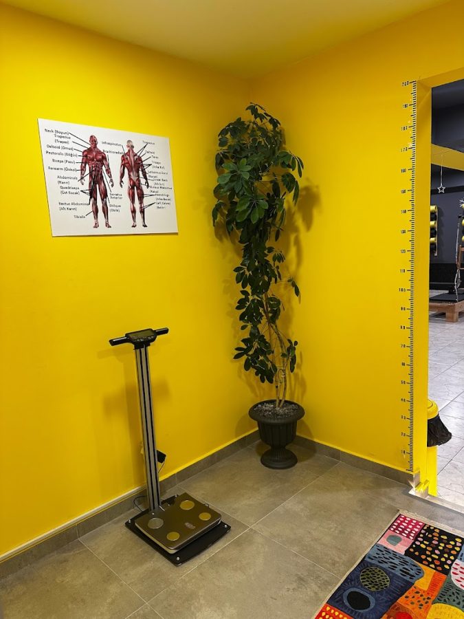 Wasp Pilates Ispartakule