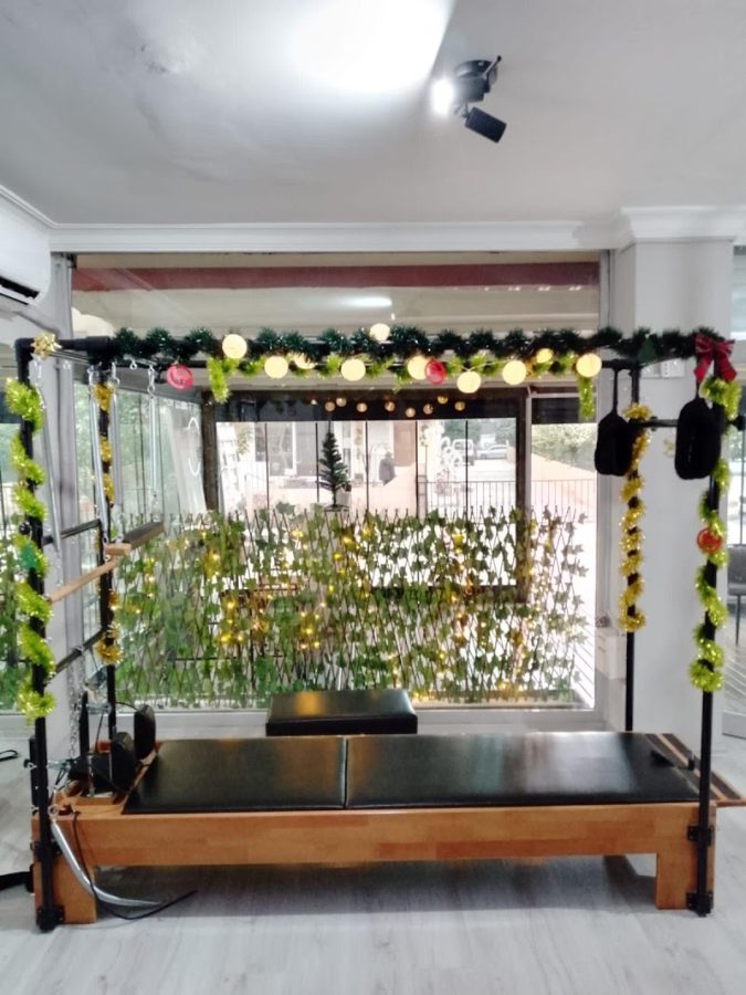 Bella Swing Yoga Pilates