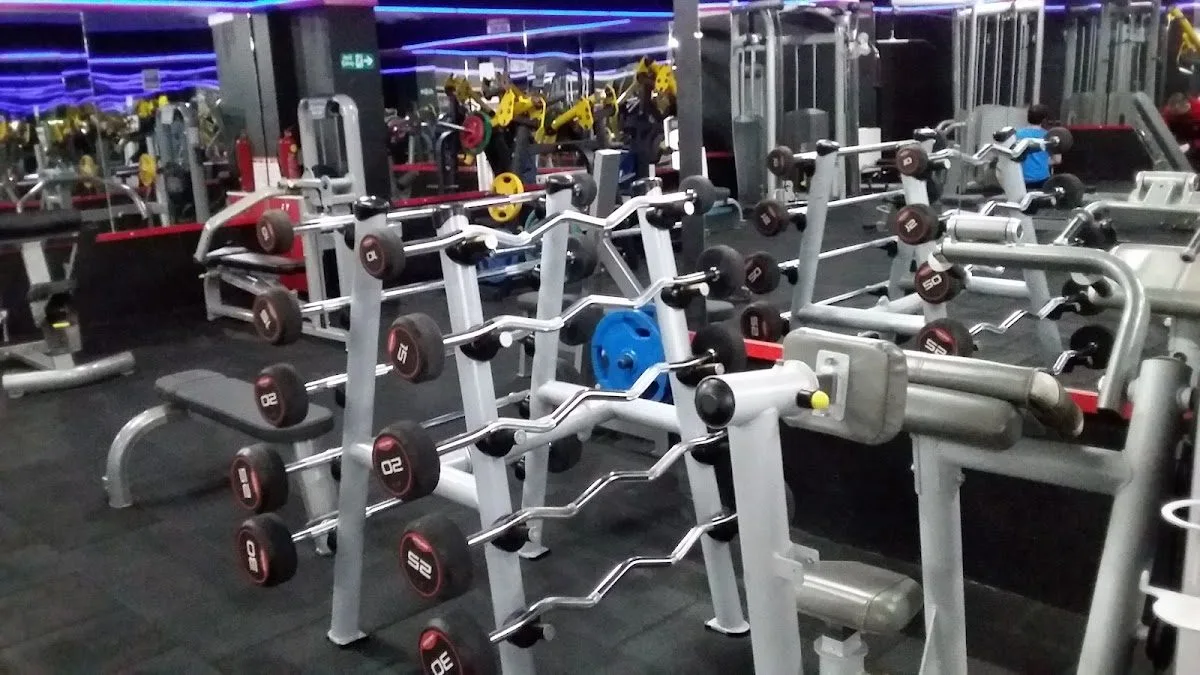 Arena Fitness Salonu