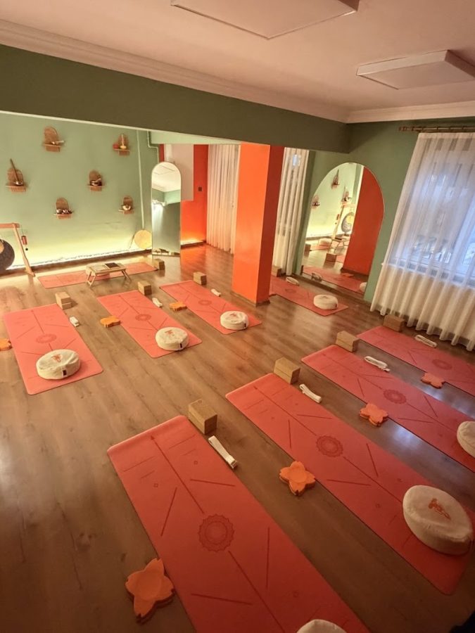 Elçin Balcı Yoga ve Yaşam Atölyesi