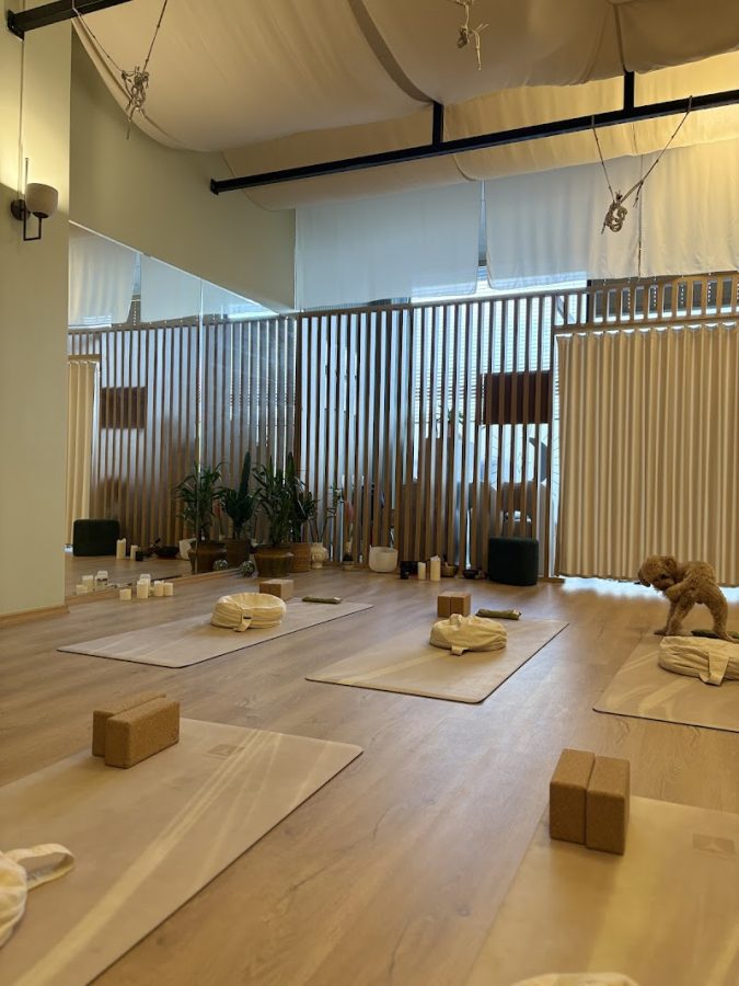 Sky Yoga Studio