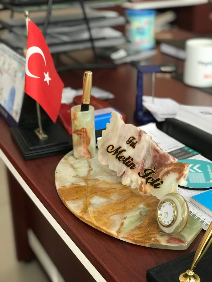 Fizyoterapist metin içli