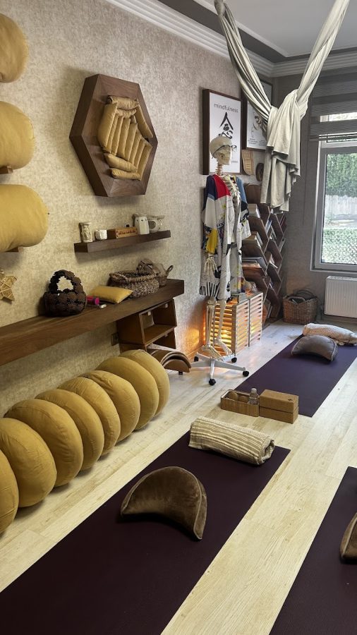 Dila Yener Studio | Yoga • Mindfulness • Şefkat • Meditasyon • Nefes • Duygu • Ayurveda • Holistik • Koçluk