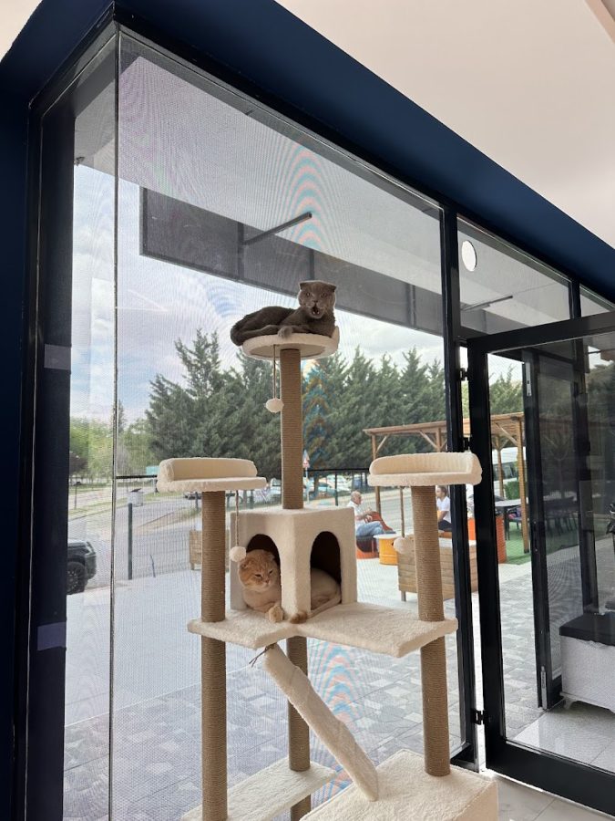 Fitrium Ems & Fitness Studio