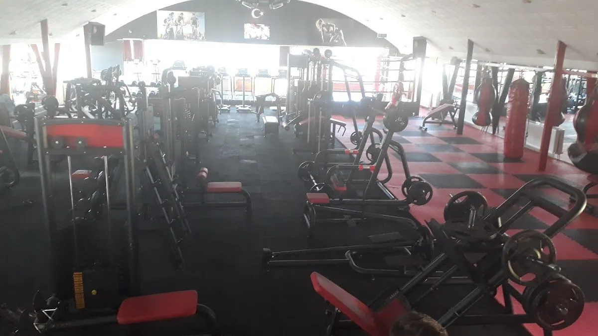 Şampiyonlar Spor Kulübü