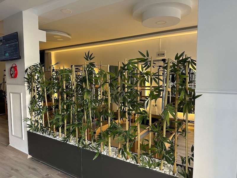 Duha Pilates Reformer