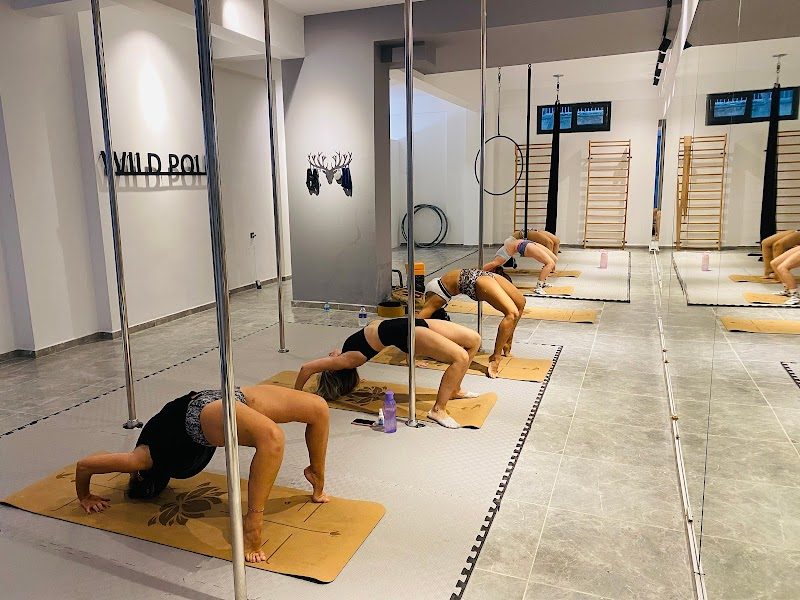 Studio Wild Pole Akademi