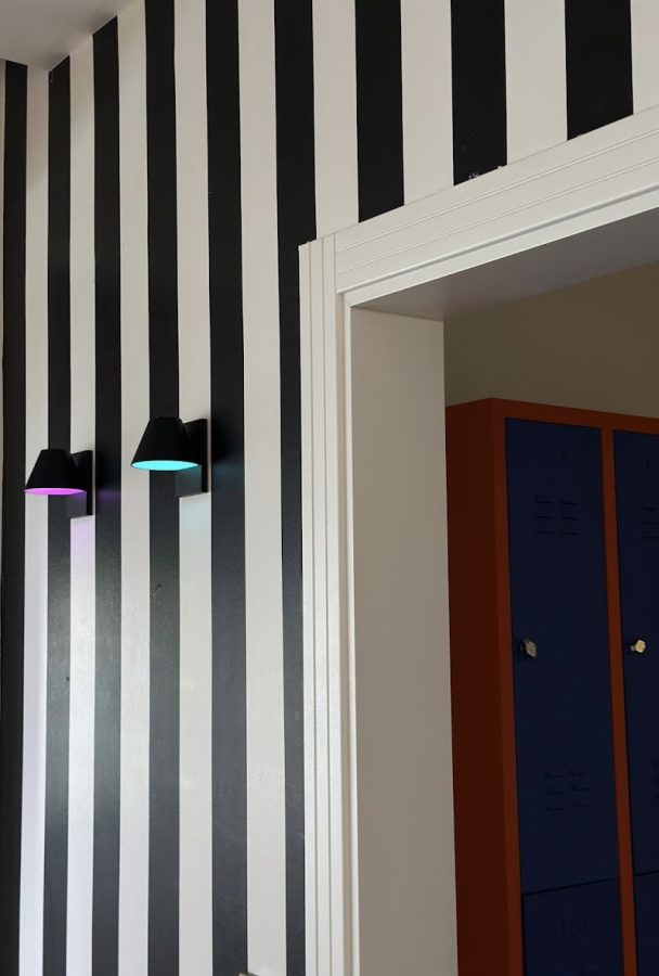 Shaktopia Bungee Fly & Pilates Studio