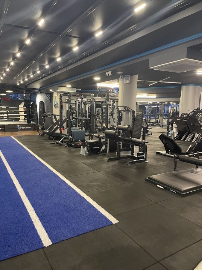 4K Concept Gym Studio Samsun-Atakum