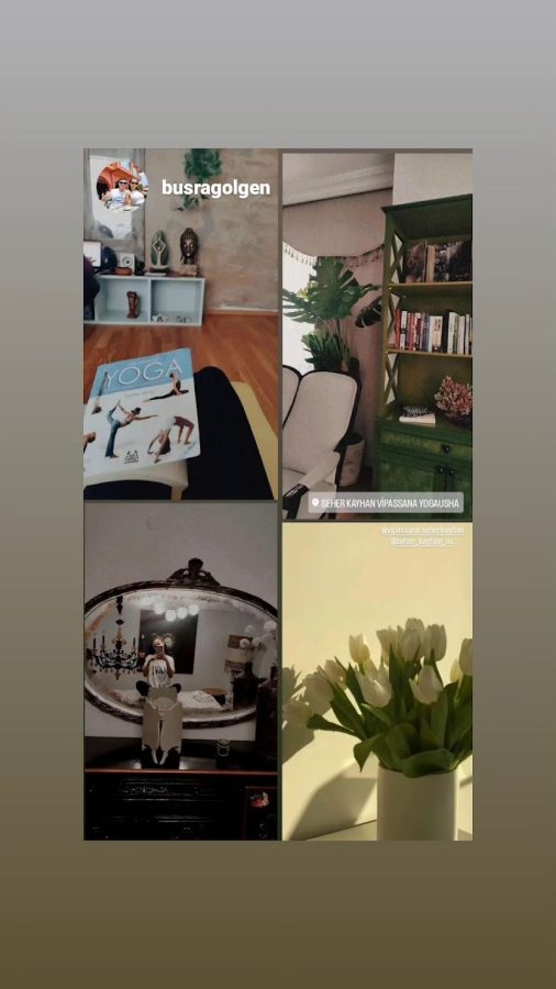 Seher Kayhan Vipassana Yogausha