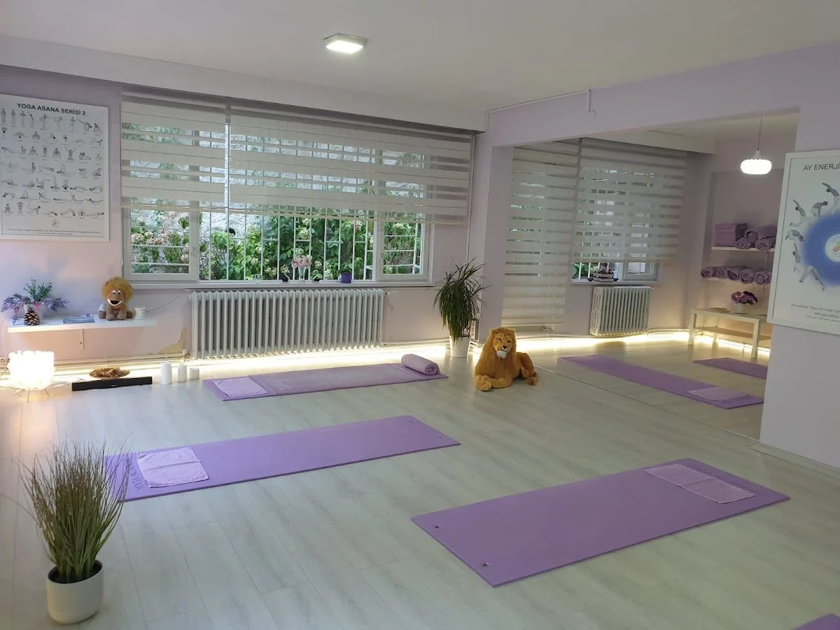 Yoga Academy Bursa