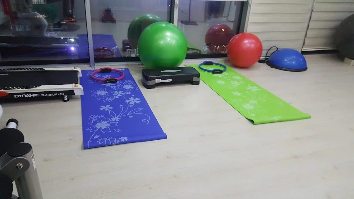 FizyoTerapia Sağlıklı Yaşam ve Fizyoterapi Merkezi