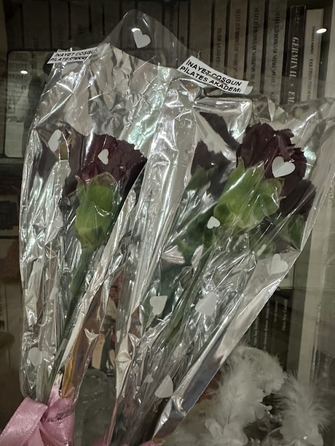 İnayet coşgun pilates akademi