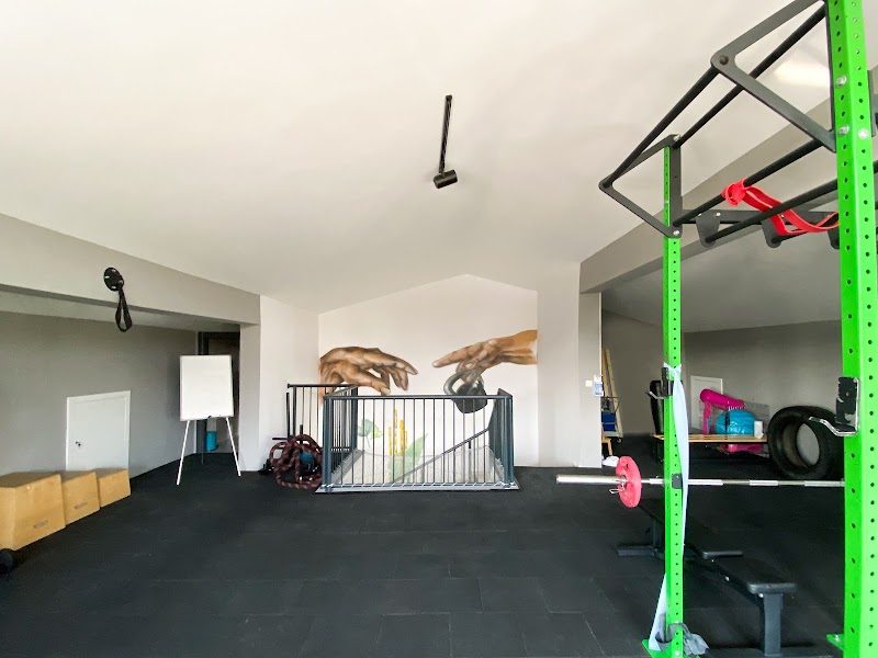 Jungle Pilates & Training Studio