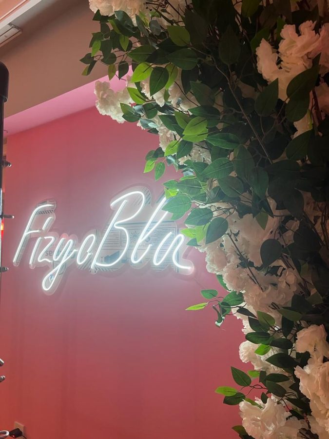 FizyoBlu Pilates Salonu Bursa