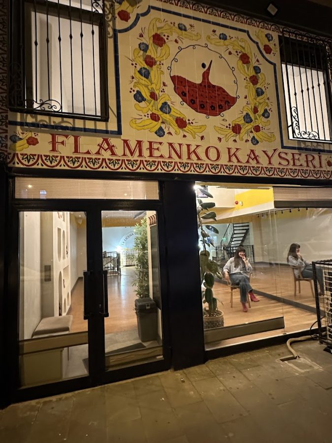 Flamenko Kayseri Dans Stüdyosu