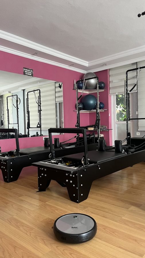 Queen's of Butterfly Plates Studio