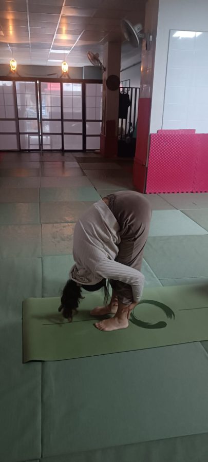 Virya Yoga