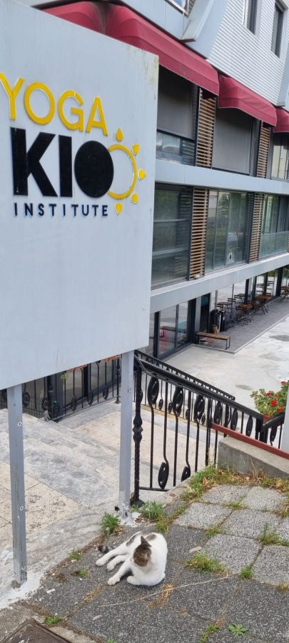 YogaKioo Institute - Acıbadem Şubesi