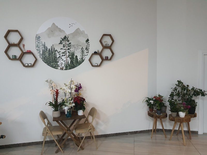 SporthoFiz (Reformer Pilates-Sporcu Sağlığı)