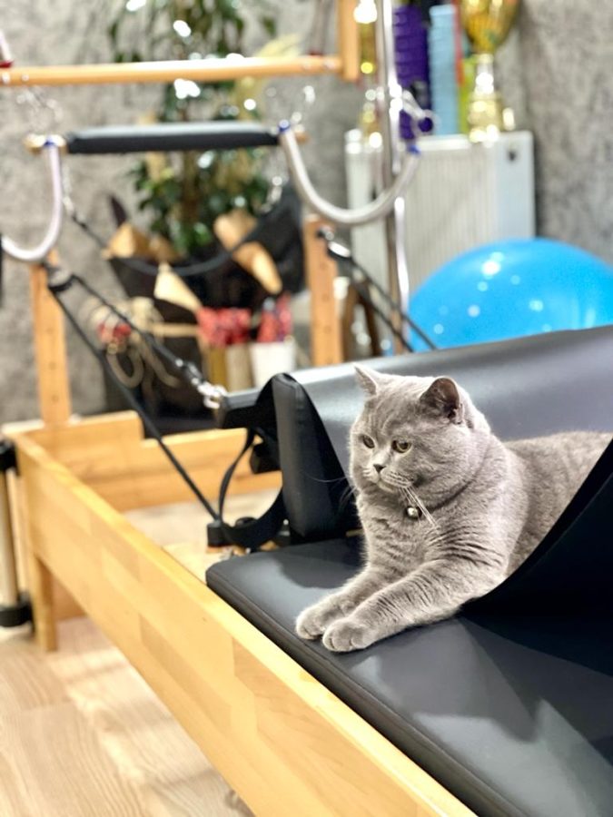 Figen Bebek Studio Fit Life