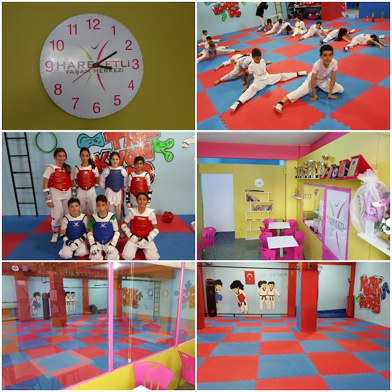 Hareketli Yaşam Merkezi Spor Kulübü İktisadi İşletmesi