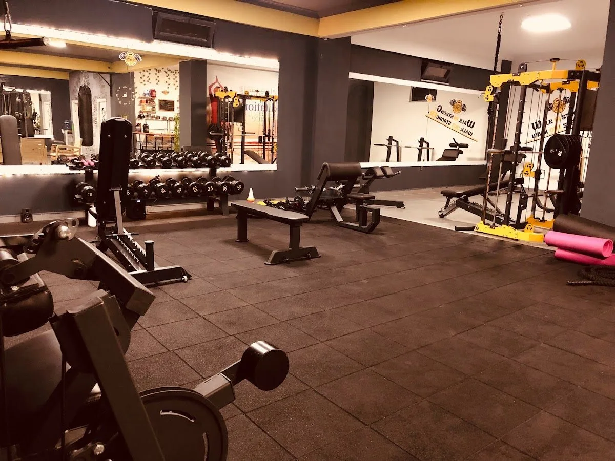 Opus Fitness & PT Studio