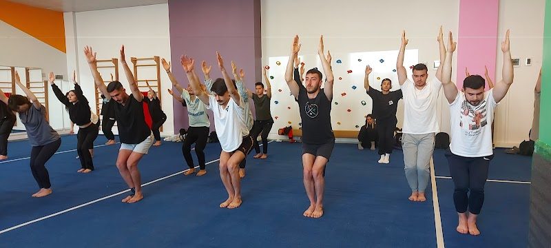 Senemlife Yoga&Pilates