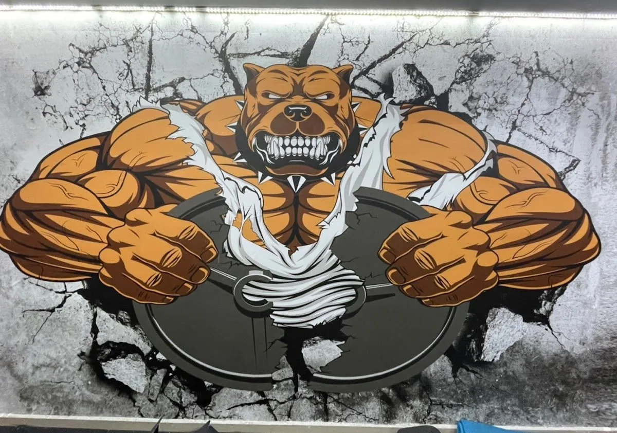 healthy life sport center