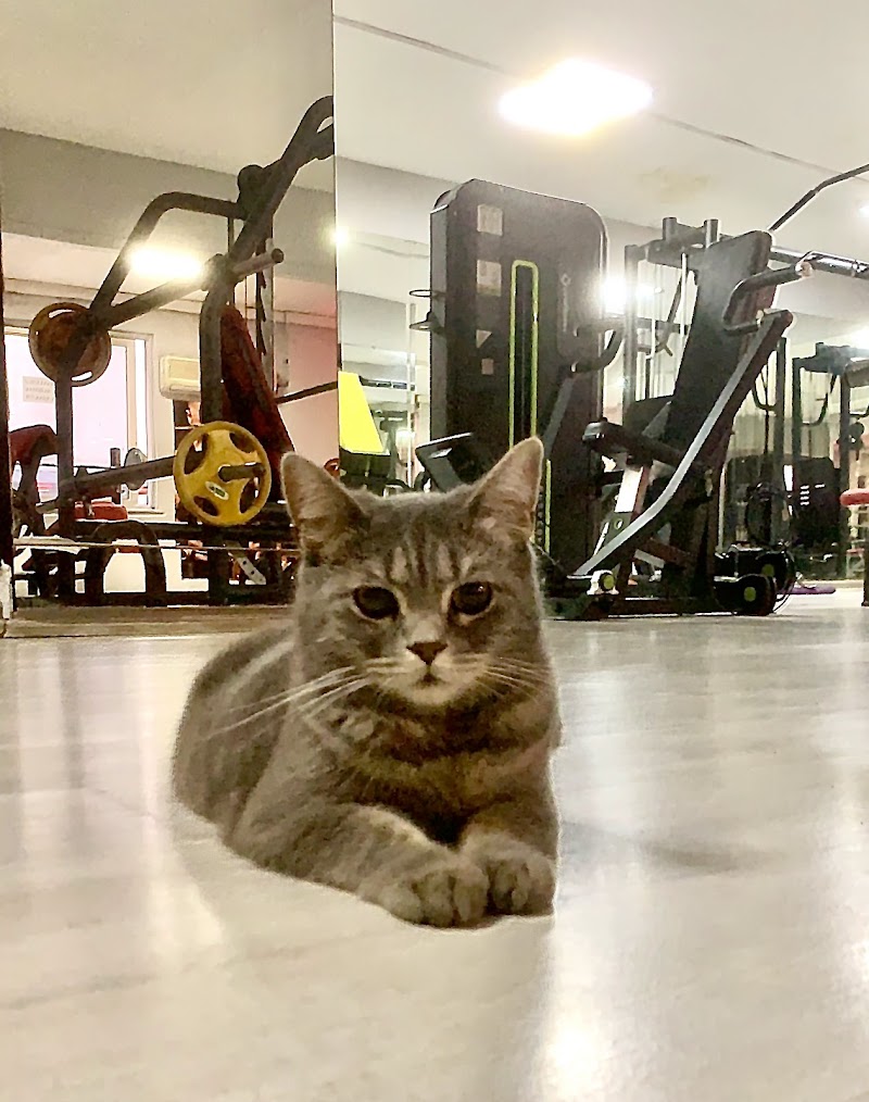 Health Club Zonguldak