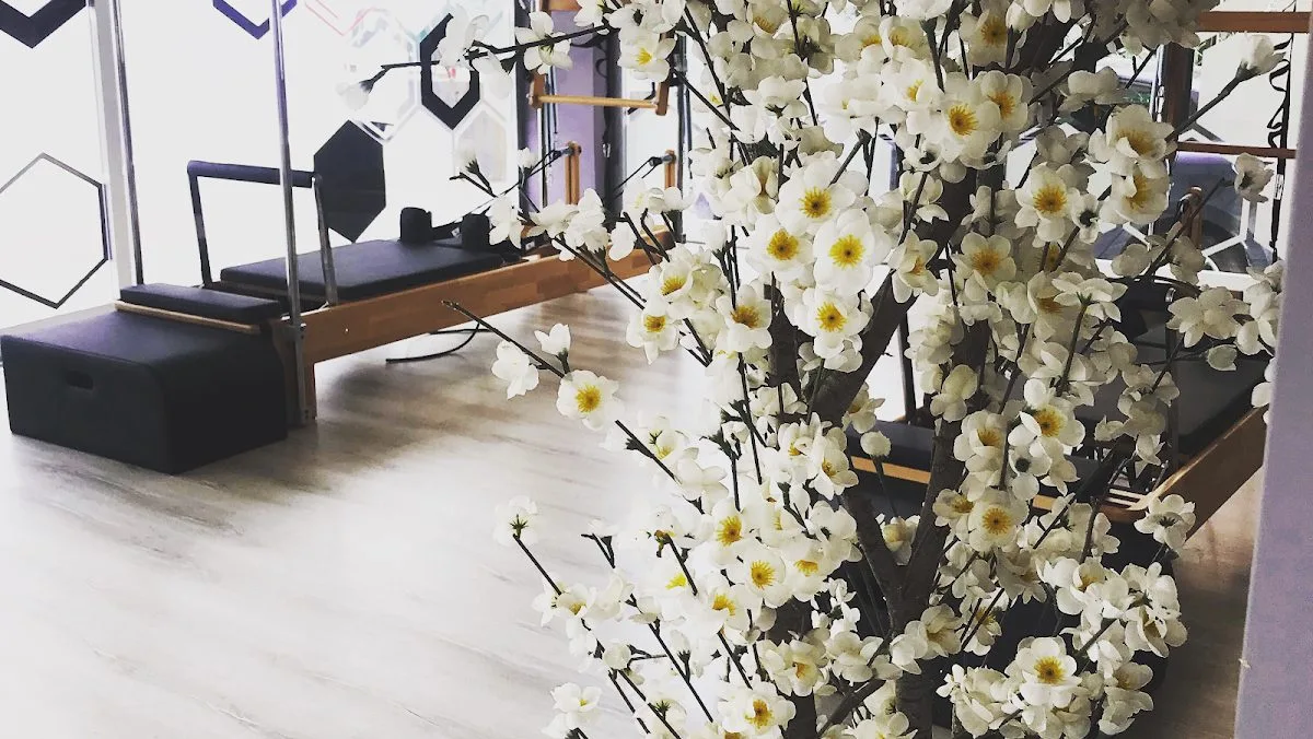 Endorfin Wellness&Pilates Stüdyo