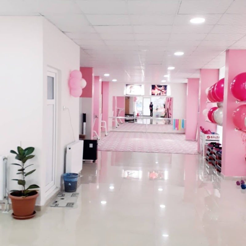 NRC Çilek Spor & Bale & Jimnastik Akademi