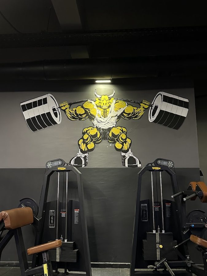 Fitbull Gym
