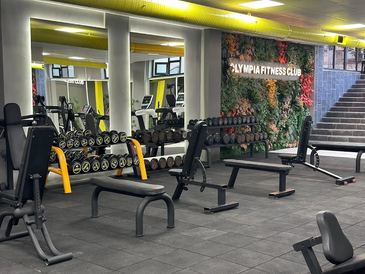 Olympia Fitness Spor Salonu