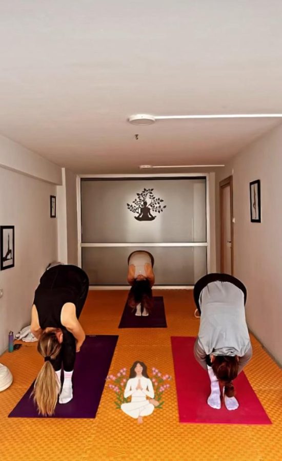 Lotus Studio Pilates