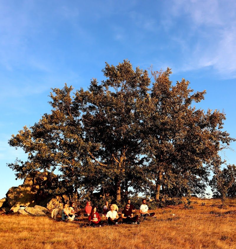 Venüs Yoga Çiftliği