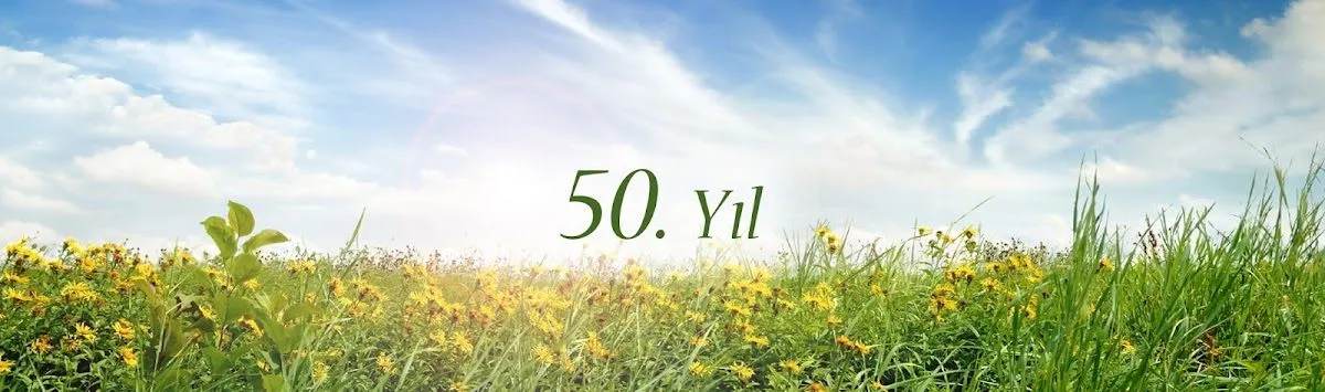 Transandantal Meditasyon Ankara